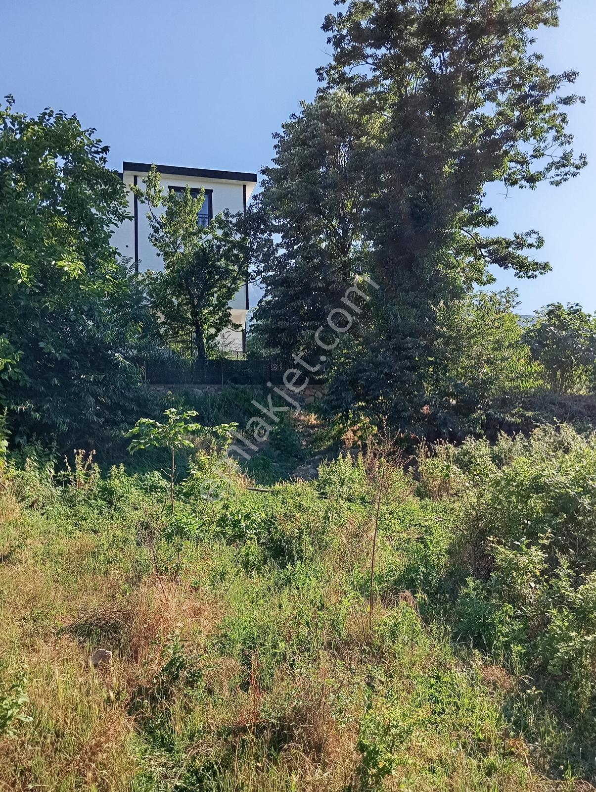 Cumalıkızık Köy İçinde 980 M2 Bahçe - Görsel 26
