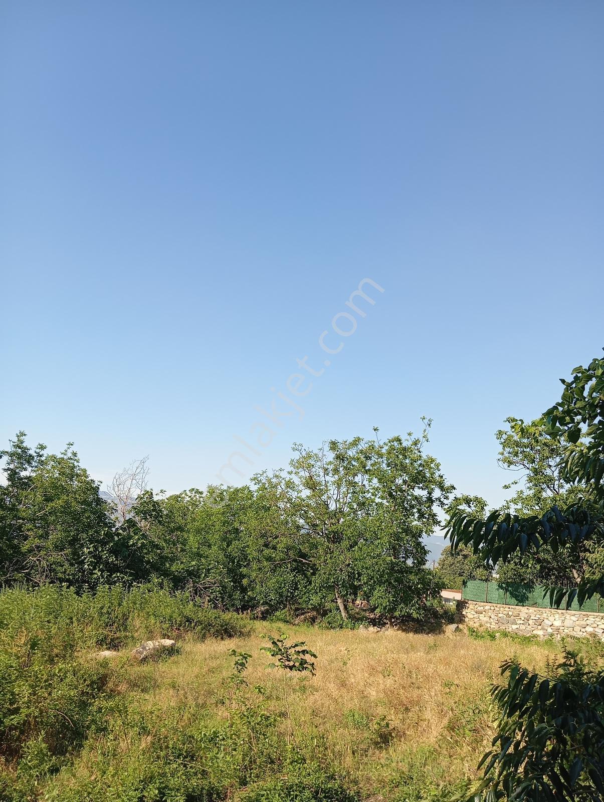 Cumalıkızık Köy İçinde 980 M2 Bahçe - Görsel 35
