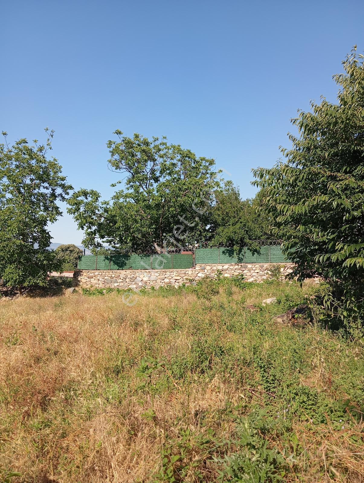 Cumalıkızık Köy İçinde 980 M2 Bahçe - Görsel 33