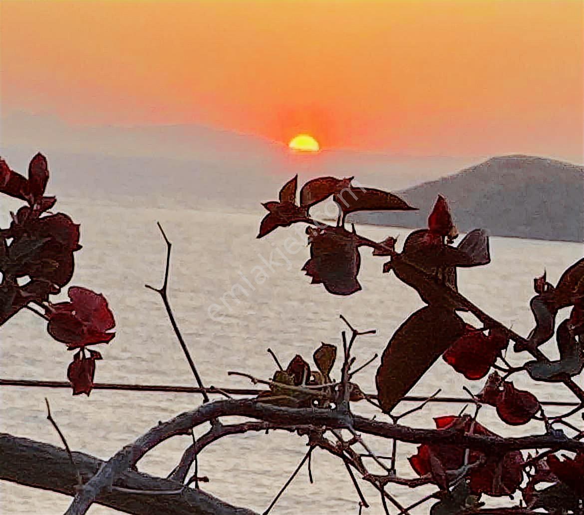 Bodrum Gümüşlük Yalıkavak Denize 200m Deniz Manzaralı Bahçekatı - Görsel 32