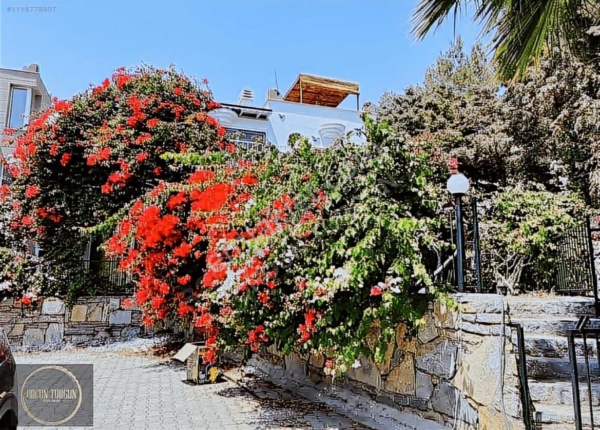 Bodrum Gümüşlük Yeni Dekore Edilmiş Geniş Bahçekatı - Görsel 7