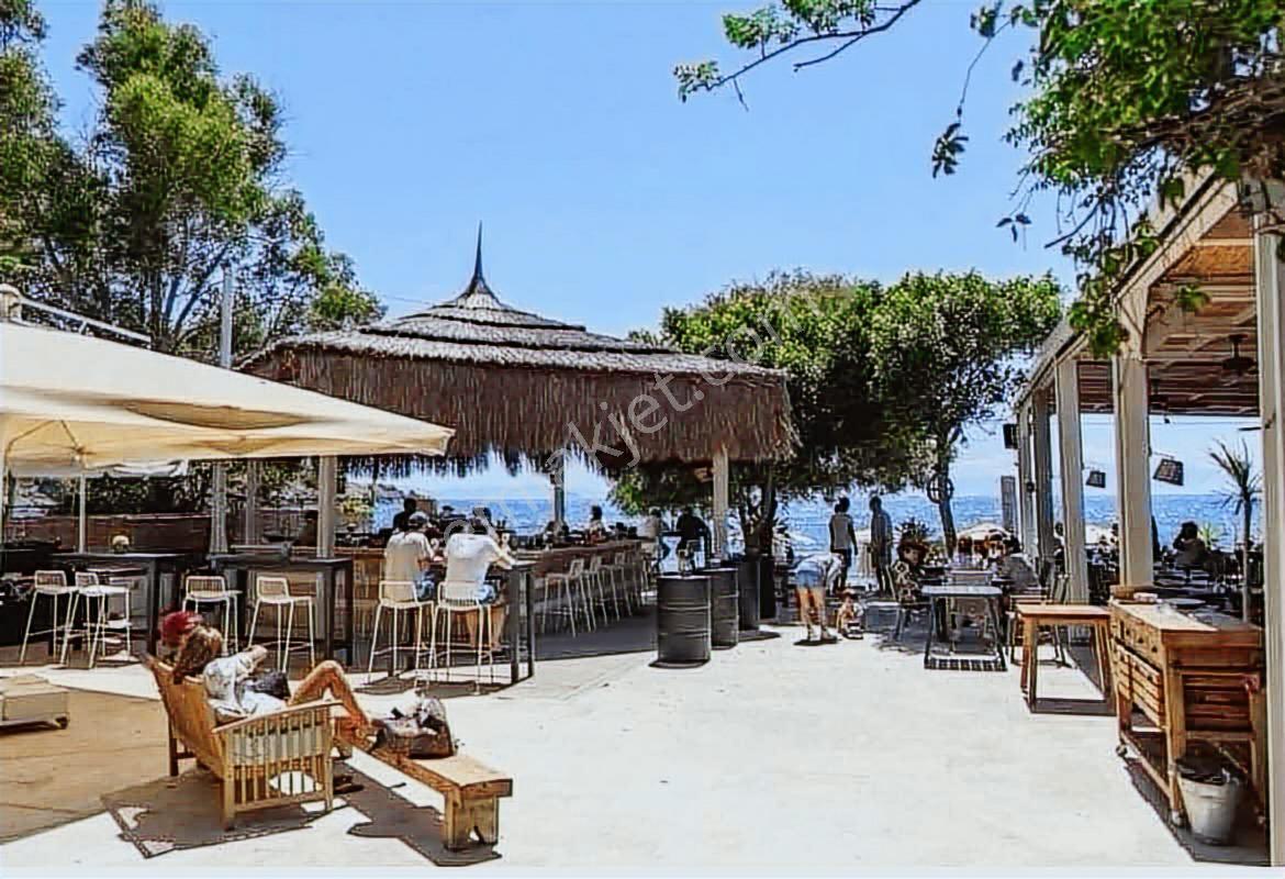 Bodrum Gümüşlük Yalıkavak Geniş Bahçeli Havuz Projeli Köşe Villa - Görsel 24