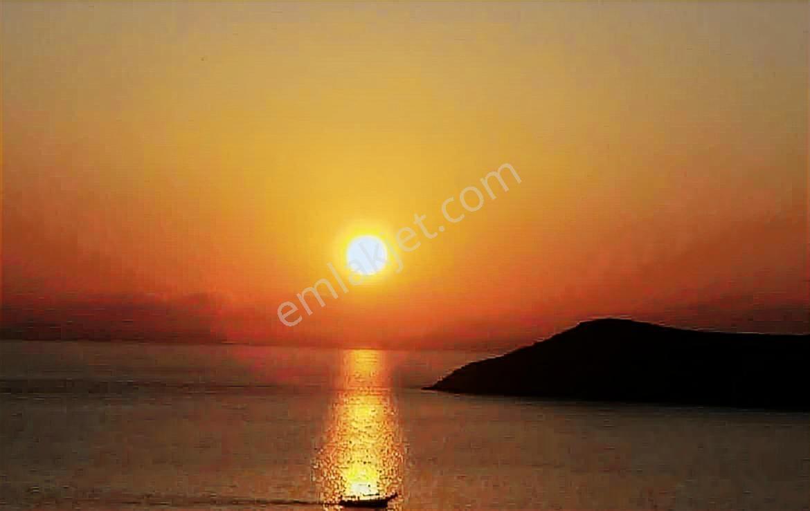 Bodrum Gümüşlük Yalıkavak Geniş Bahçeli Havuz Projeli Köşe Villa - Görsel 3