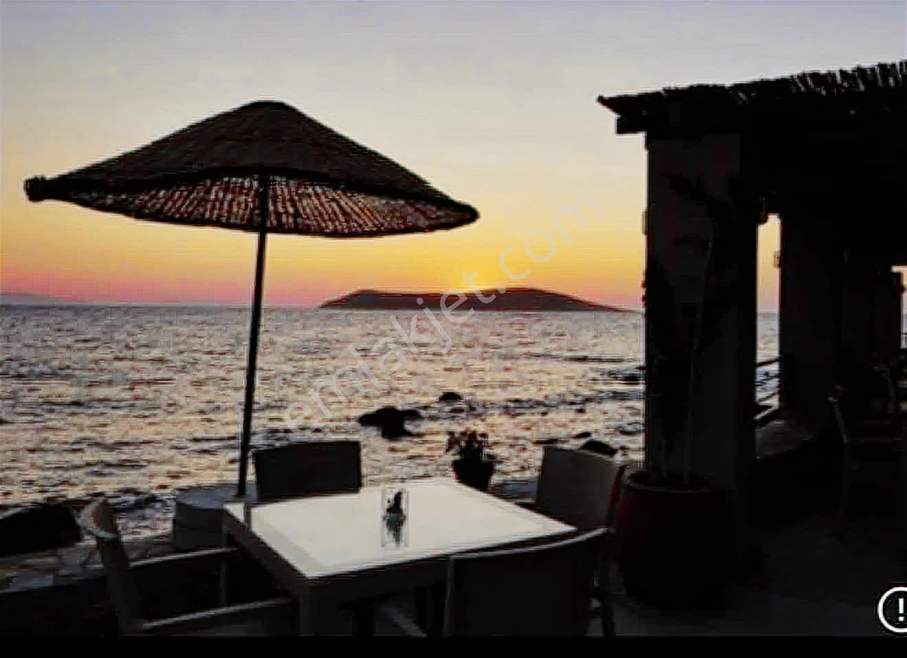 Gümüşlük Yalıkavak Özel Plajlı Eşsiz Deniz Manzaralı Villa - Görsel 21