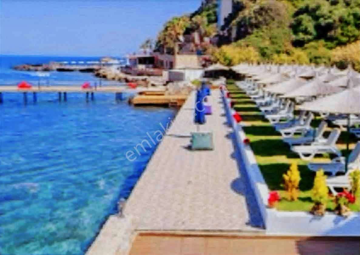 Bodrum Gümüşlük Yalıkavak Manzaralı Geniş Bahçeli Köşe Villa - Görsel 26