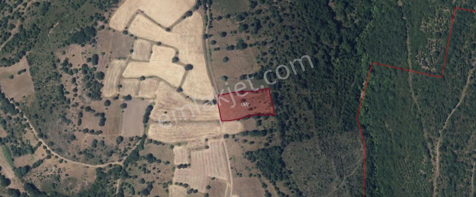 Çanakkale'de Yatırımlık 4258 M² Satılık Tarla - Görsel 2