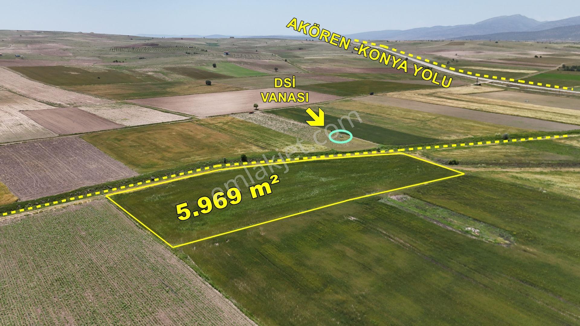 Anayola Yakın Sulak 5.969 M² Tarla / Çatören / Akören / Konya - Görsel 2