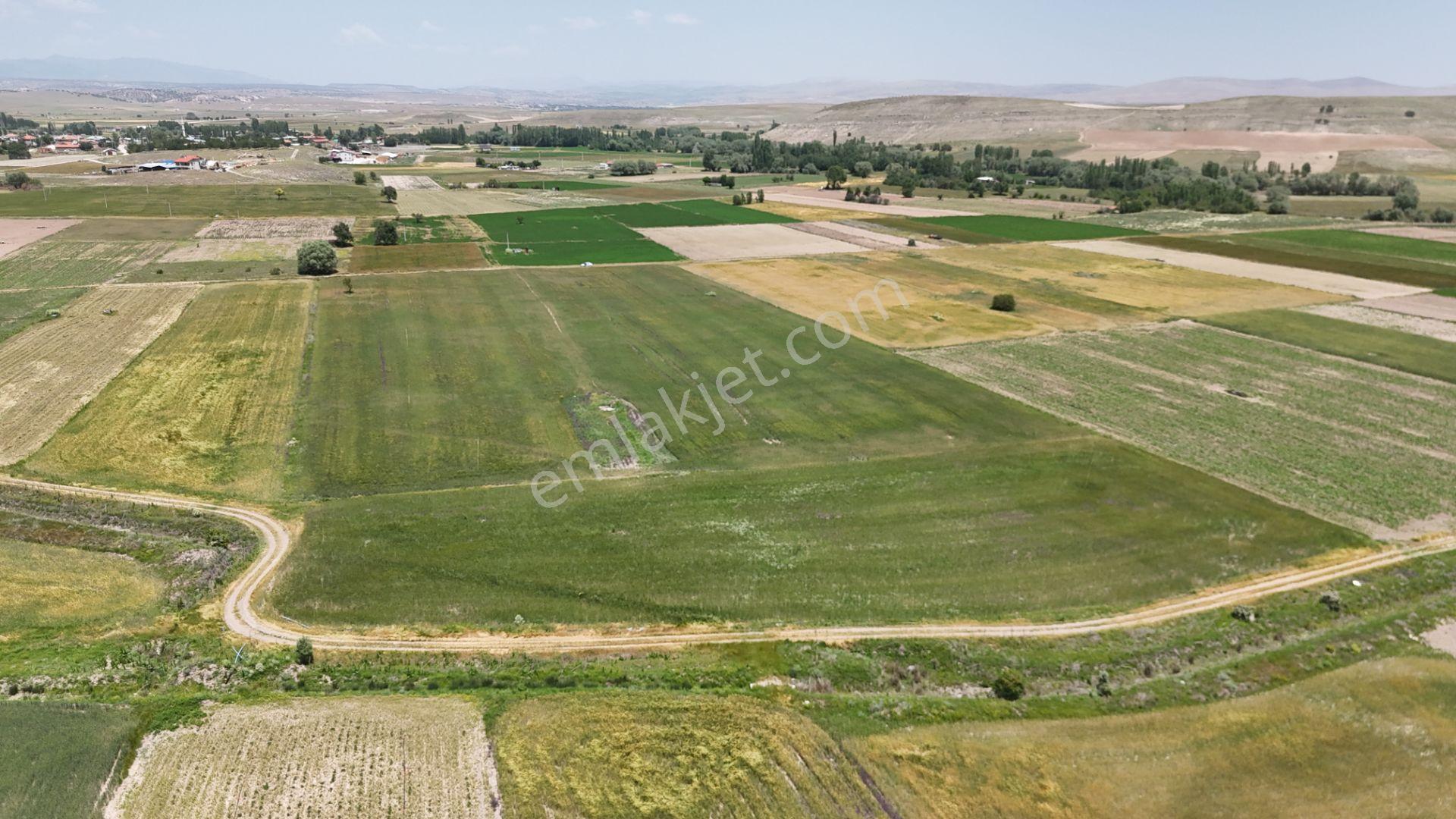 Anayola Yakın Sulak 5.969 M² Tarla / Çatören / Akören / Konya - Görsel 11
