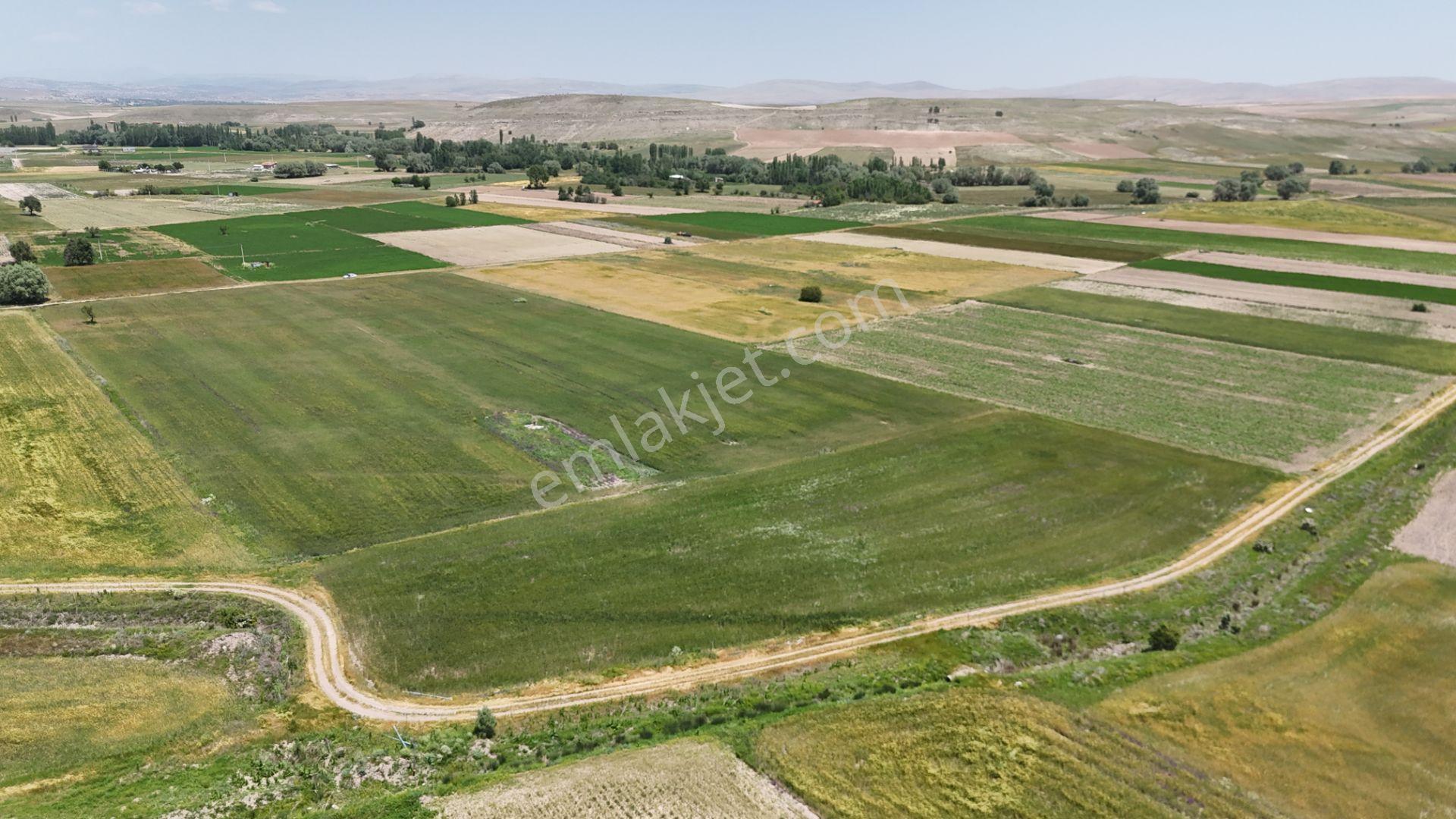 Anayola Yakın Sulak 5.969 M² Tarla / Çatören / Akören / Konya - Görsel 12