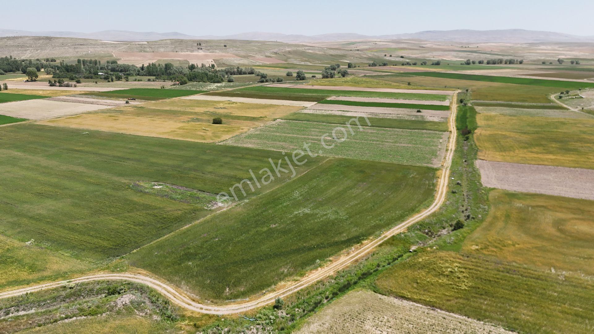 Anayola Yakın Sulak 5.969 M² Tarla / Çatören / Akören / Konya - Görsel 13