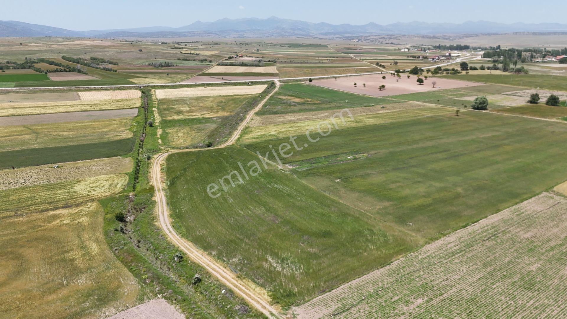 Anayola Yakın Sulak 5.969 M² Tarla / Çatören / Akören / Konya - Görsel 6