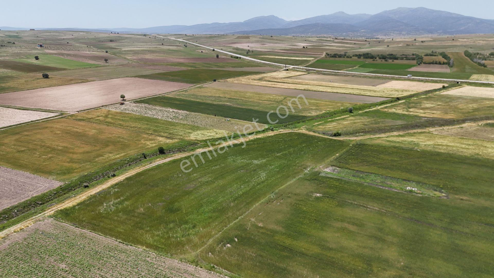 Anayola Yakın Sulak 5.969 M² Tarla / Çatören / Akören / Konya - Görsel 7
