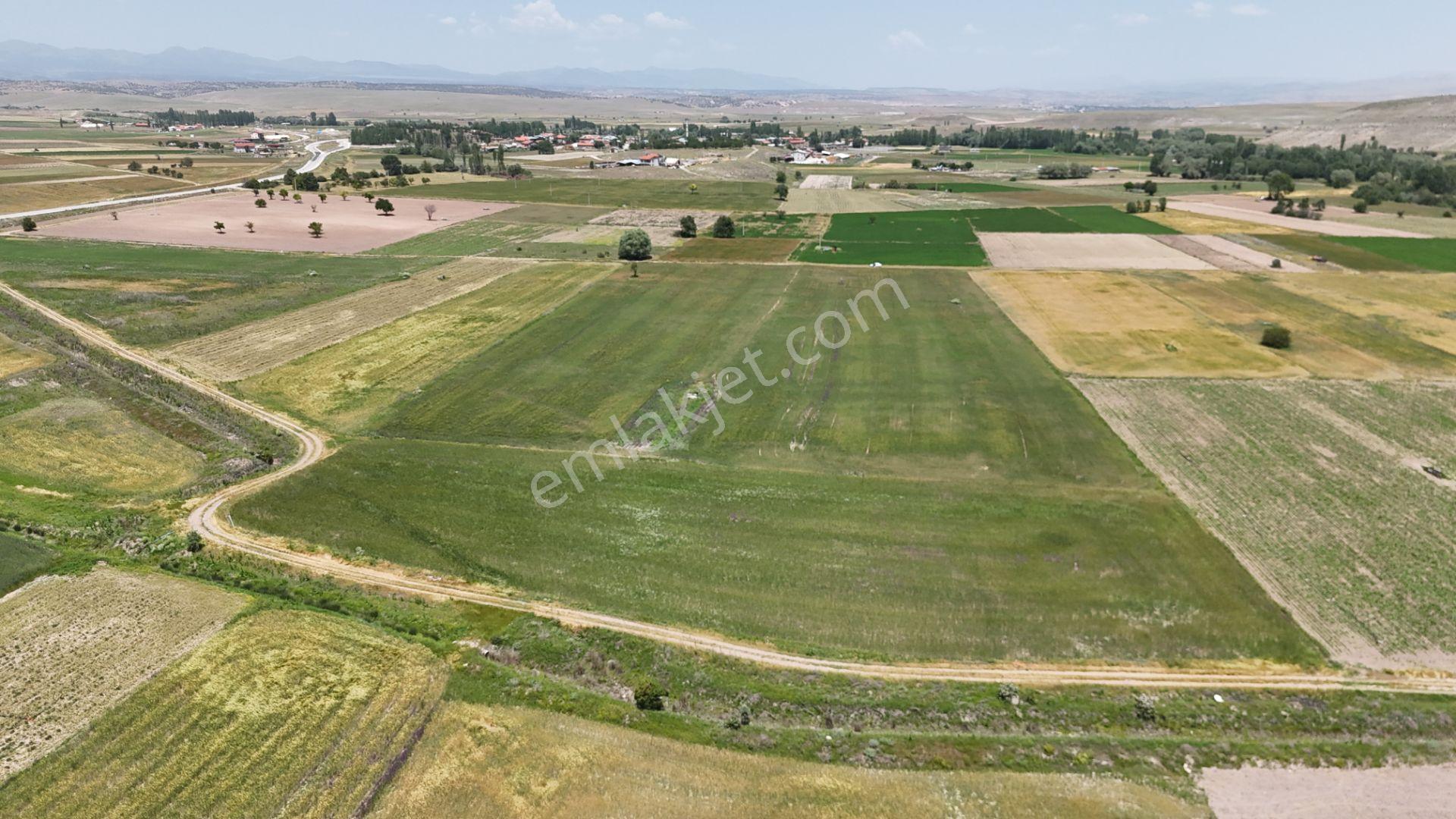 Anayola Yakın Sulak 5.969 M² Tarla / Çatören / Akören / Konya - Görsel 9