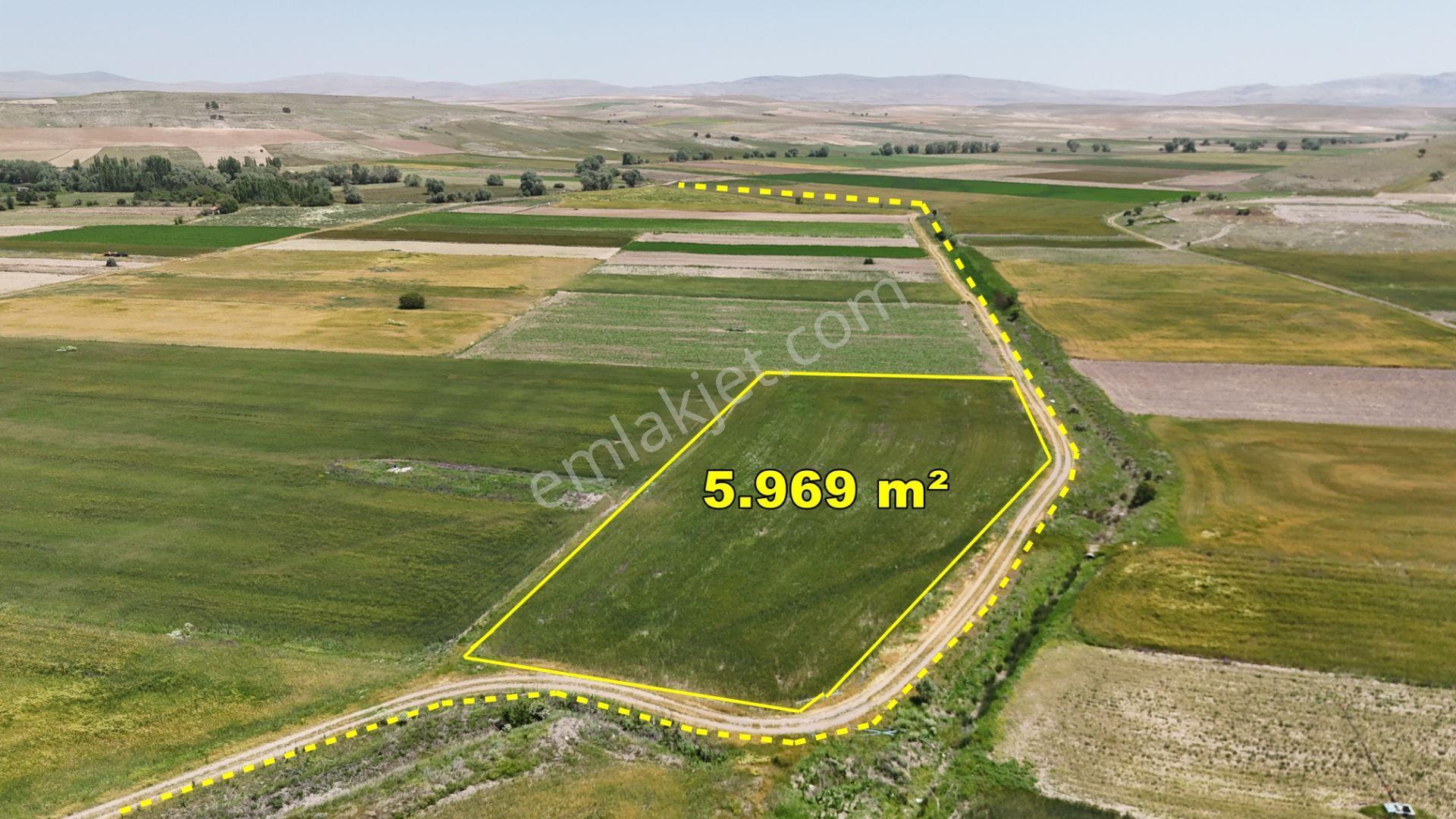 Anayola Yakın Sulak 5.969 M² Tarla / Çatören / Akören / Konya - Görsel 3