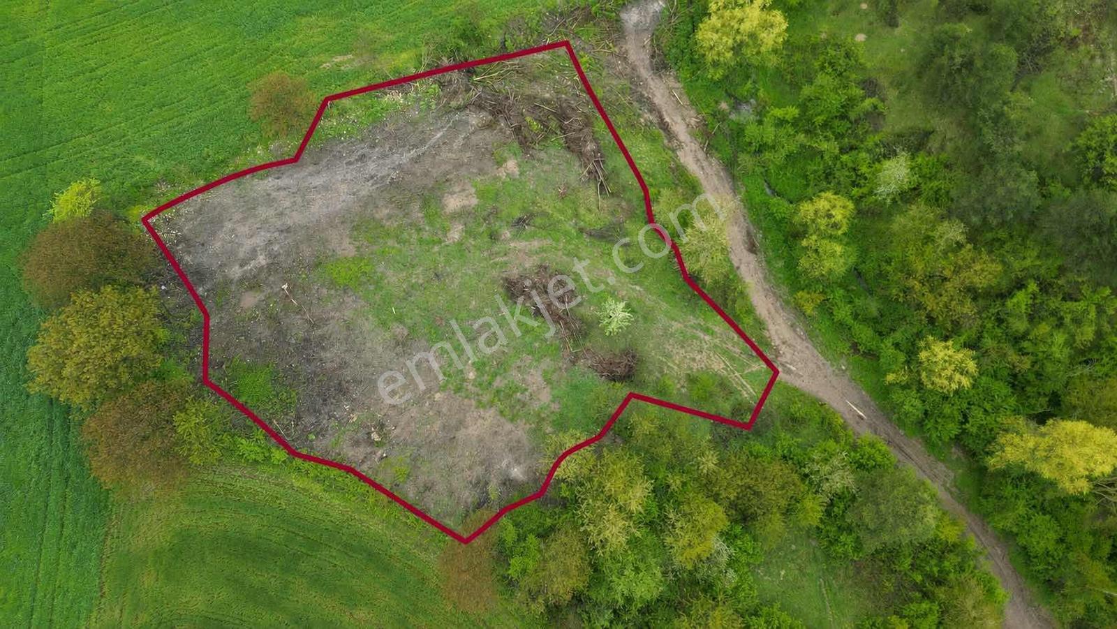 Hamzabeyde Köye Yakın 3.613 M² Tek Tapu Tarla