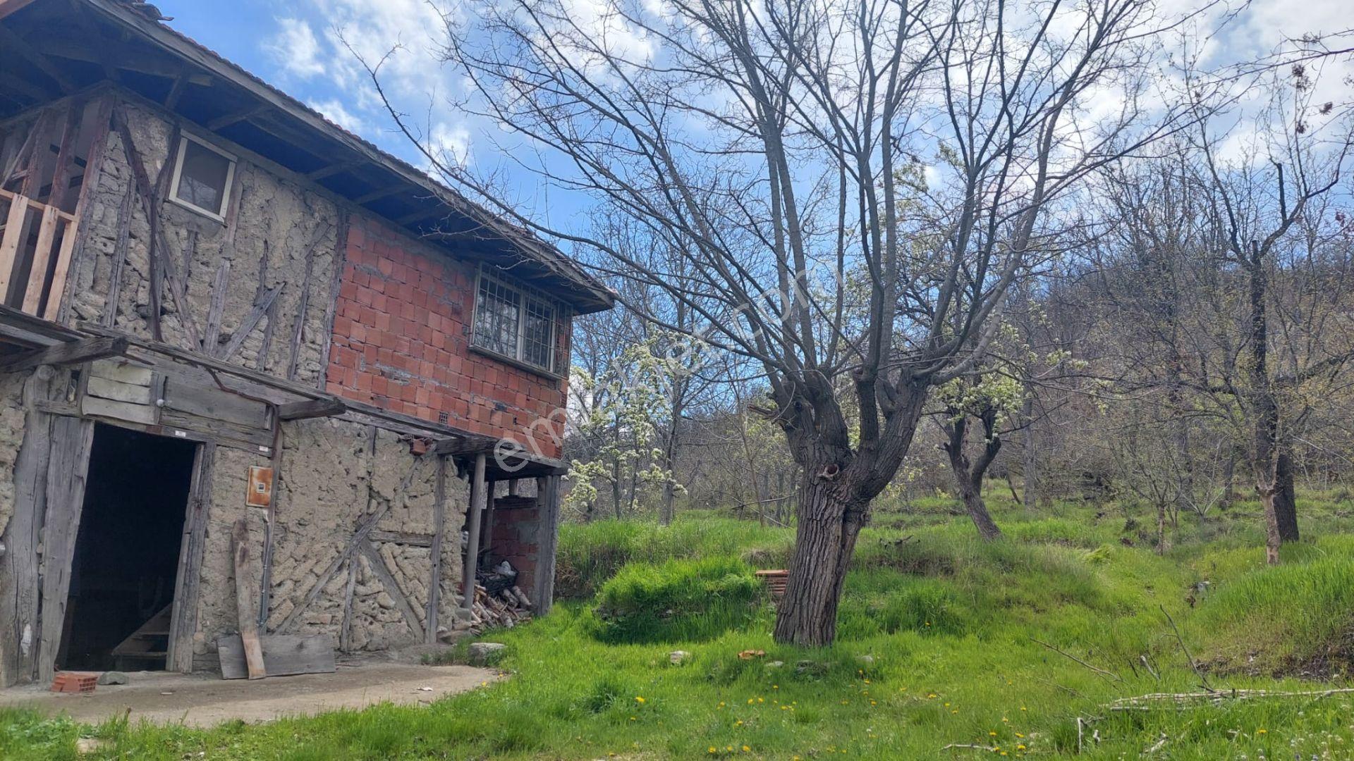 Kastamonu - Tosya Gökyer Mevkinde Satılık Bakımlı Bağ - Görsel 3
