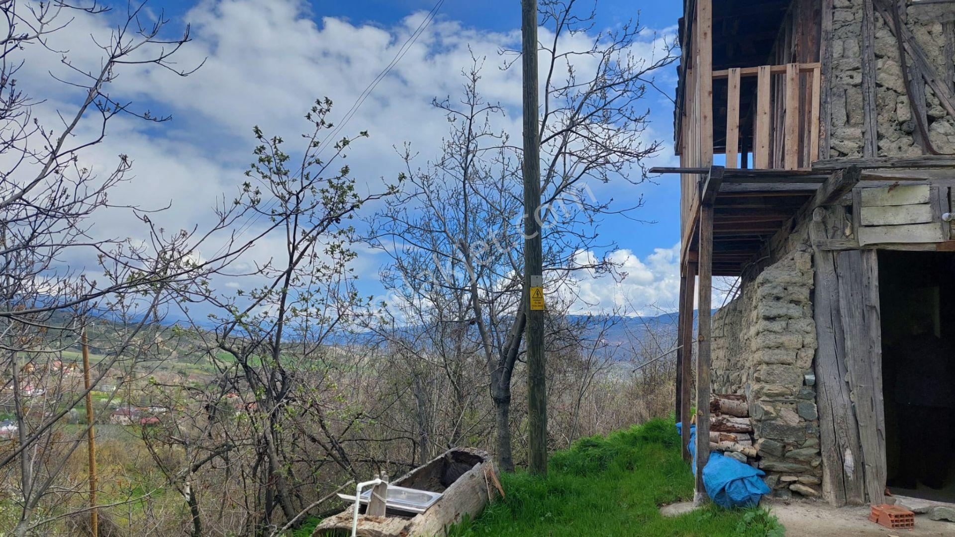Kastamonu - Tosya Gökyer Mevkinde Satılık Bakımlı Bağ - Görsel 4