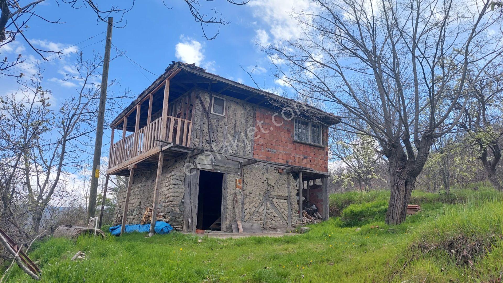 Kastamonu - Tosya Gökyer Mevkinde Satılık Bakımlı Bağ