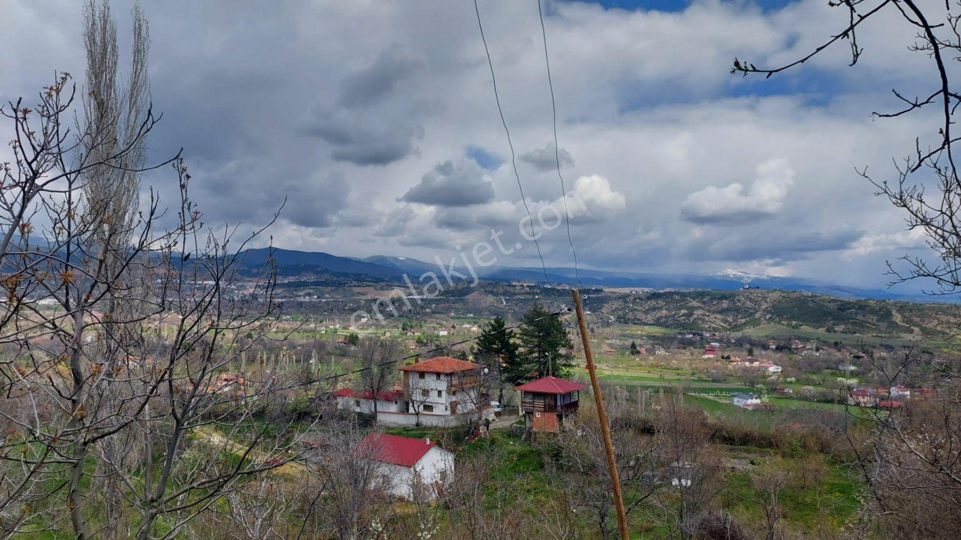 Kastamonu - Tosya Gökyer Mevkinde Satılık Bakımlı Bağ - Görsel 6