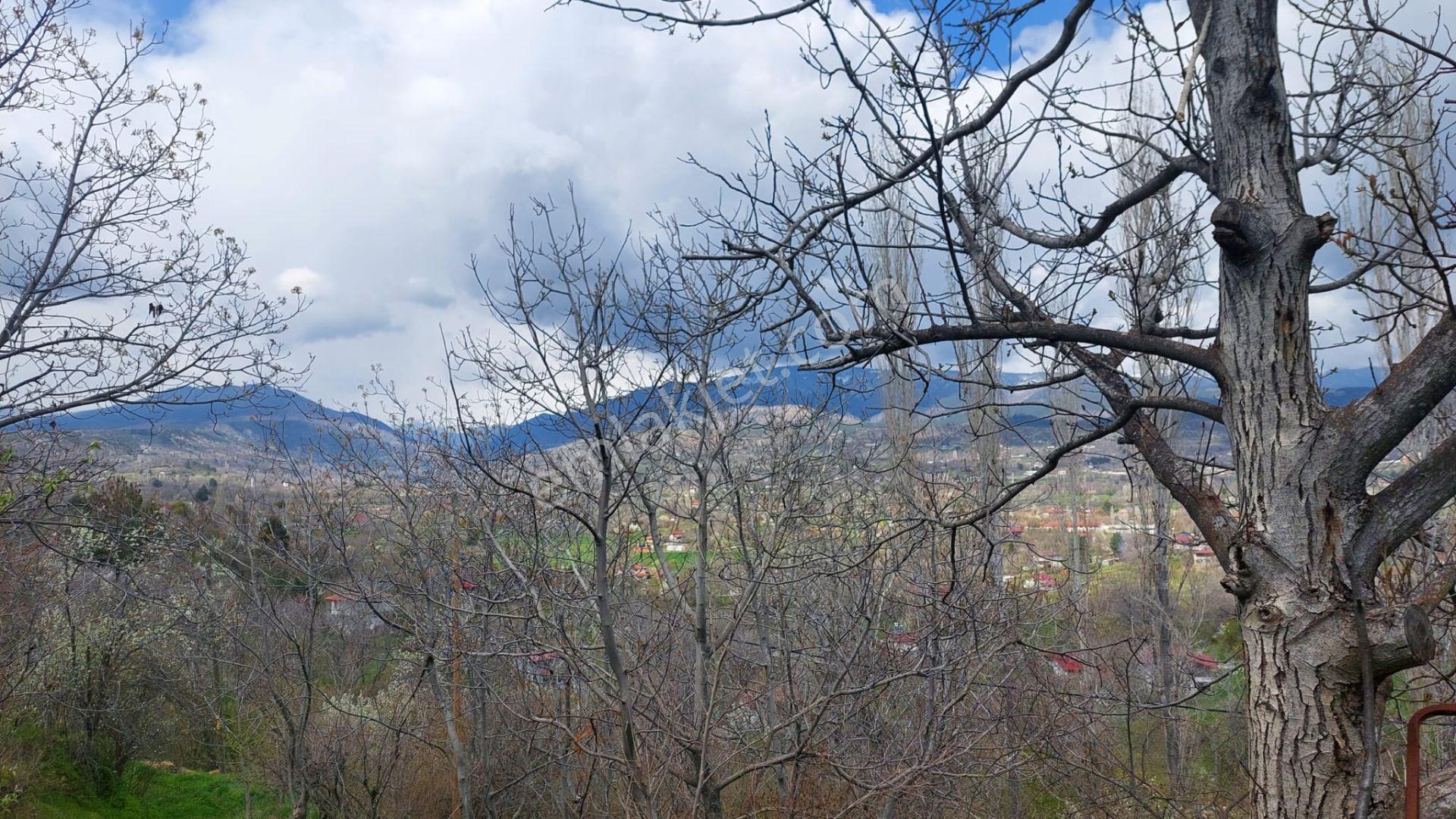Kastamonu - Tosya Gökyer Mevkinde Satılık Bakımlı Bağ - Görsel 18
