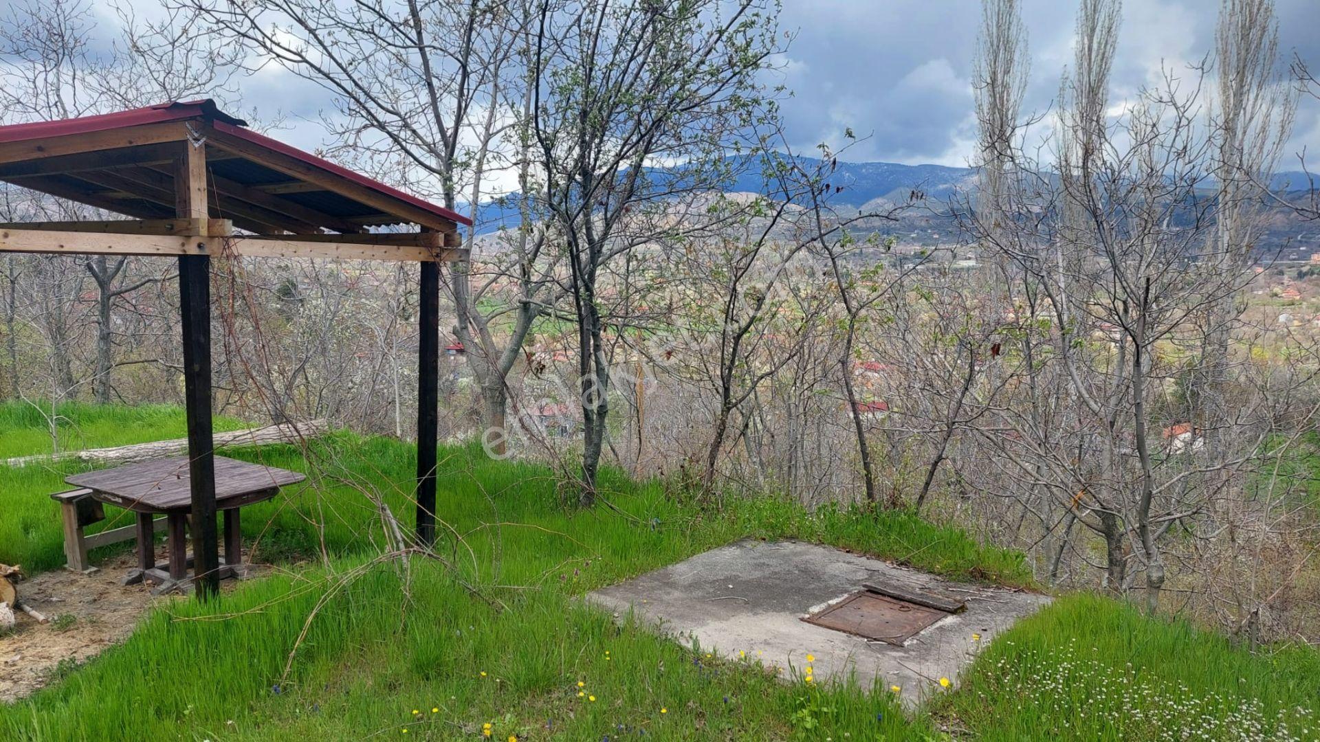 Kastamonu - Tosya Gökyer Mevkinde Satılık Bakımlı Bağ - Görsel 7