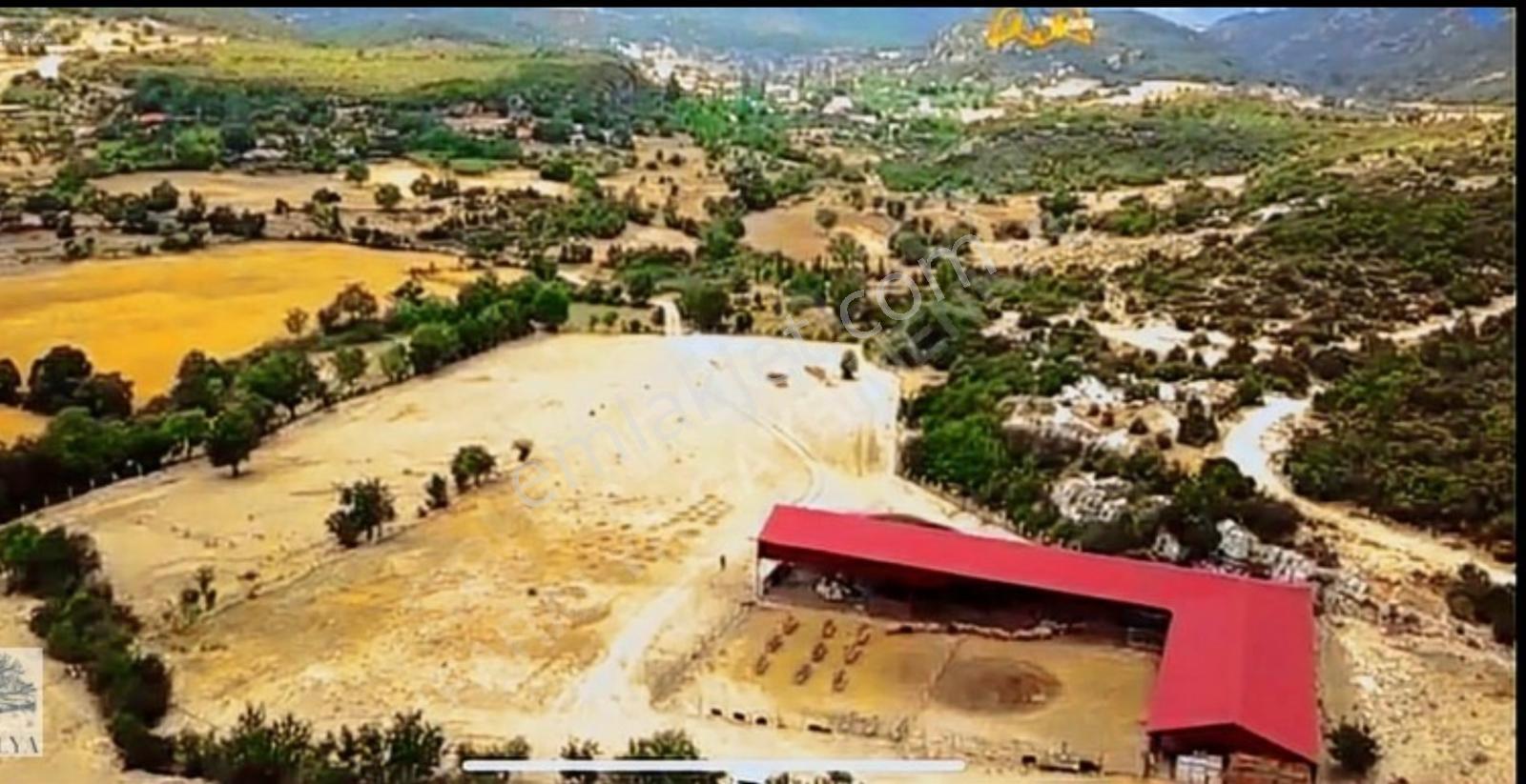 Kaş İkizce Köyünde Satılık Çiftlik - Görsel 6