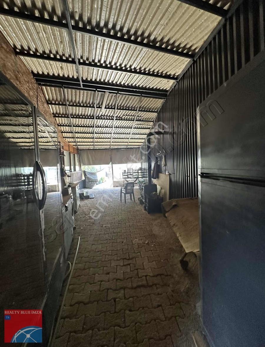 Şile Bıçkıdere'de Her Türlü İşe Uygun Kiralık Arsa - Görsel 14