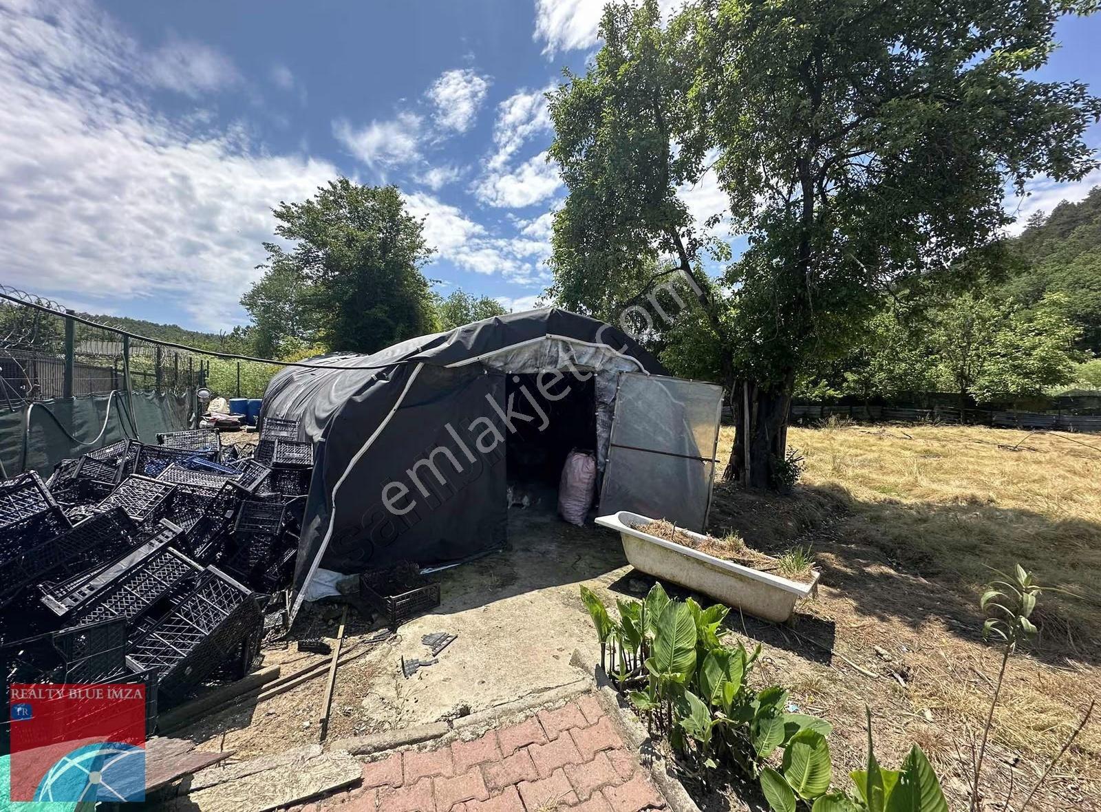 Şile Bıçkıdere'de Her Türlü İşe Uygun Kiralık Arsa - Görsel 5