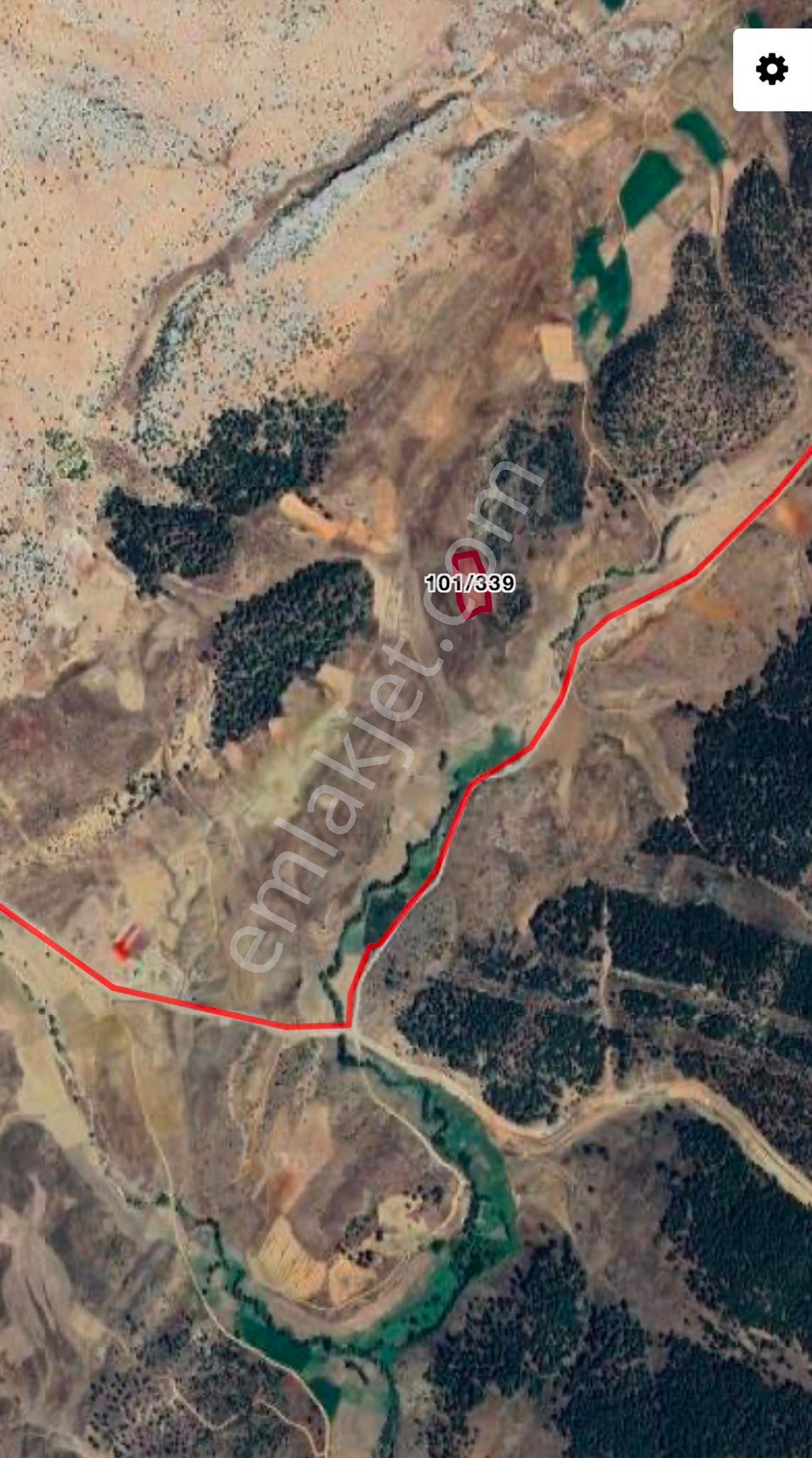 Tufanbeyli Demiroluk Mahallesinde Ormana Sıfır Fırsat Tarla - Görsel 4