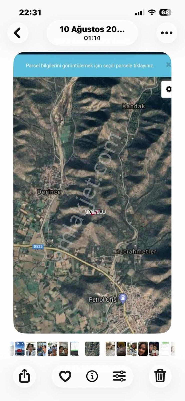 Milas Kandak Mah. Satılık Zeytinlik - Görsel 4