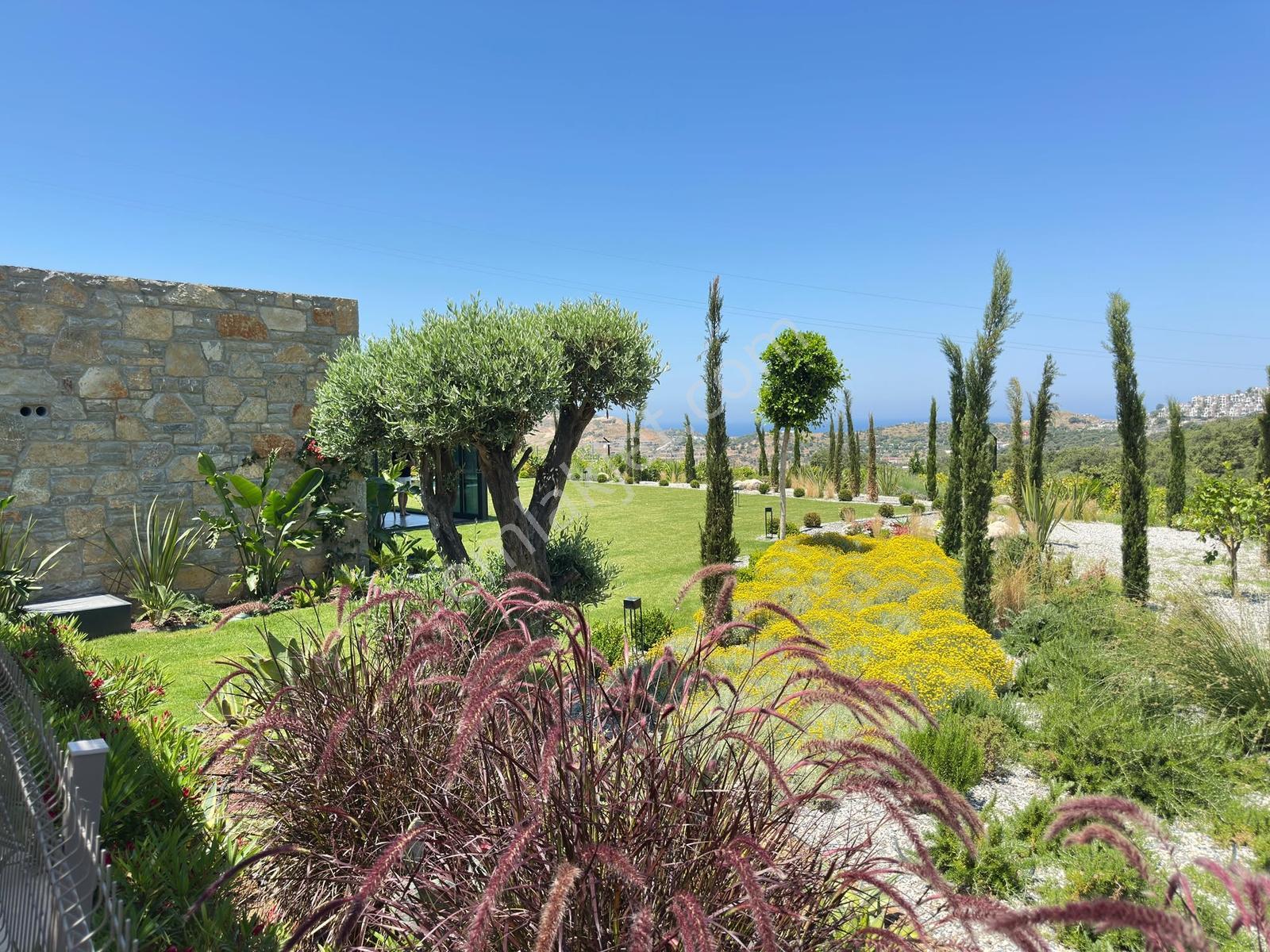 Bodrum Gümüşlük'te 1.580 M² Arsa İçinde Müstakil Lüks Villa - Görsel 8