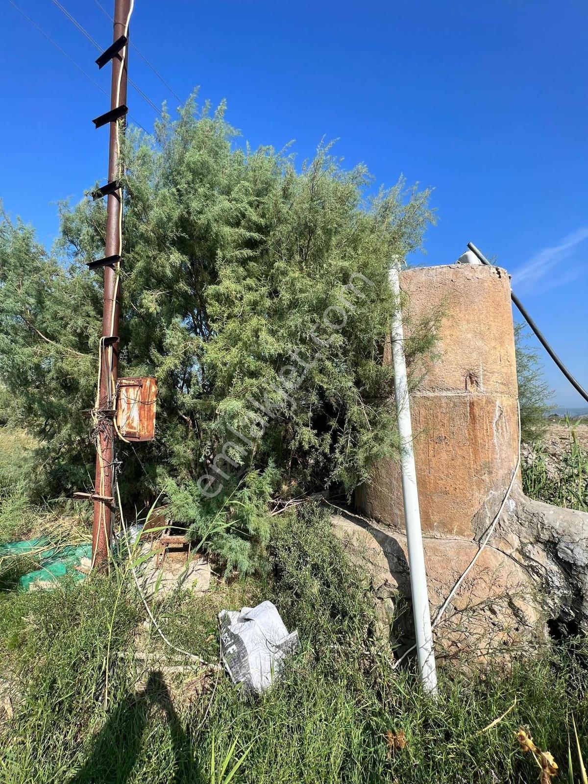 Milas Avşar Mah. Satılık 5.528 M2 Tarla - Görsel 9
