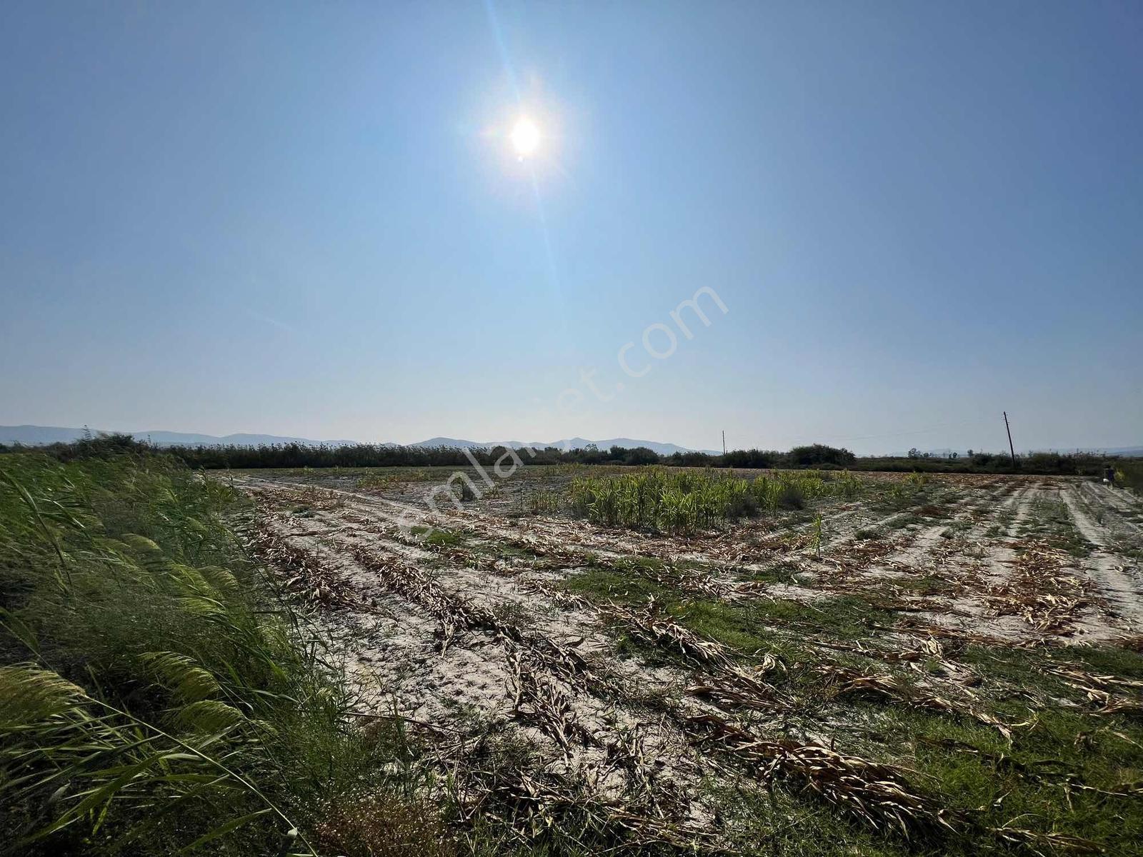 Milas Avşar Mah. Satılık 5.528 M2 Tarla - Görsel 11