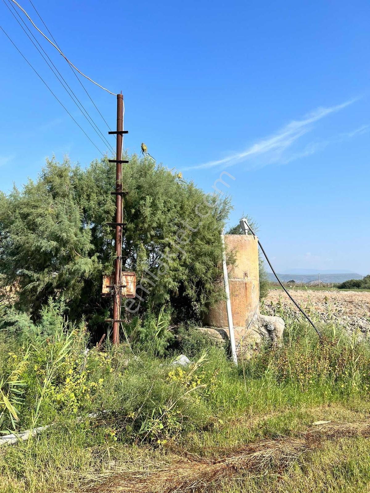 Milas Avşar Mah. Satılık 5.528 M2 Tarla - Görsel 10