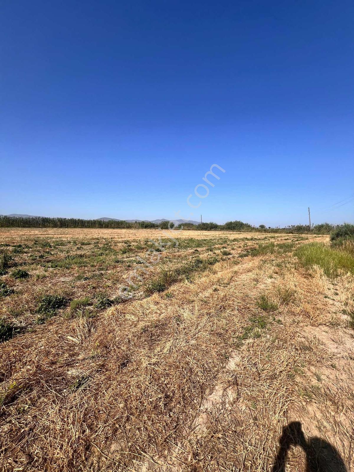 Milas Avşar Mah. Satılık 5.528 M2 Tarla - Görsel 7