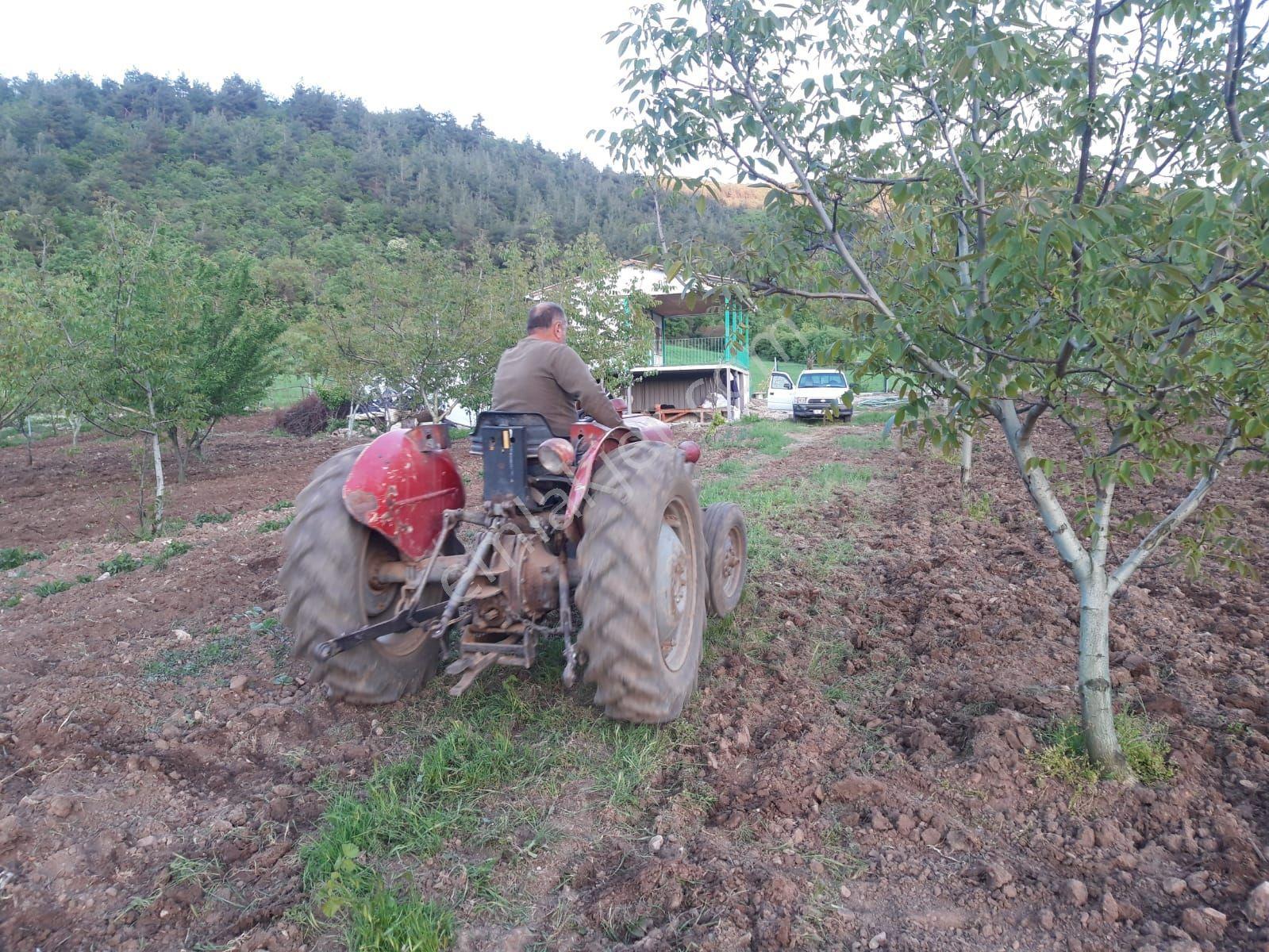 Bursa Kestel Gölcük Köyünde Satılık Bahçe Ve Tarla - Görsel 8