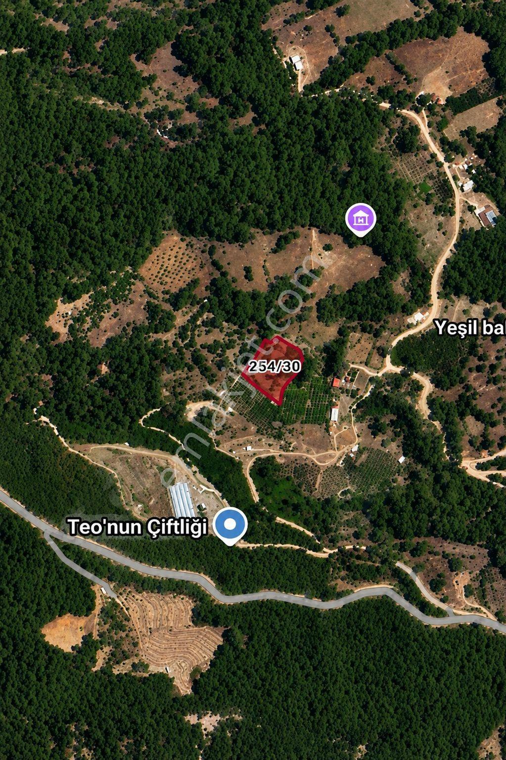 Kaş Kemer Mahallesi'nde 4.392 M² Müstakil Tapulu Satılık Doğa Cenneti Tarla - Görsel 8