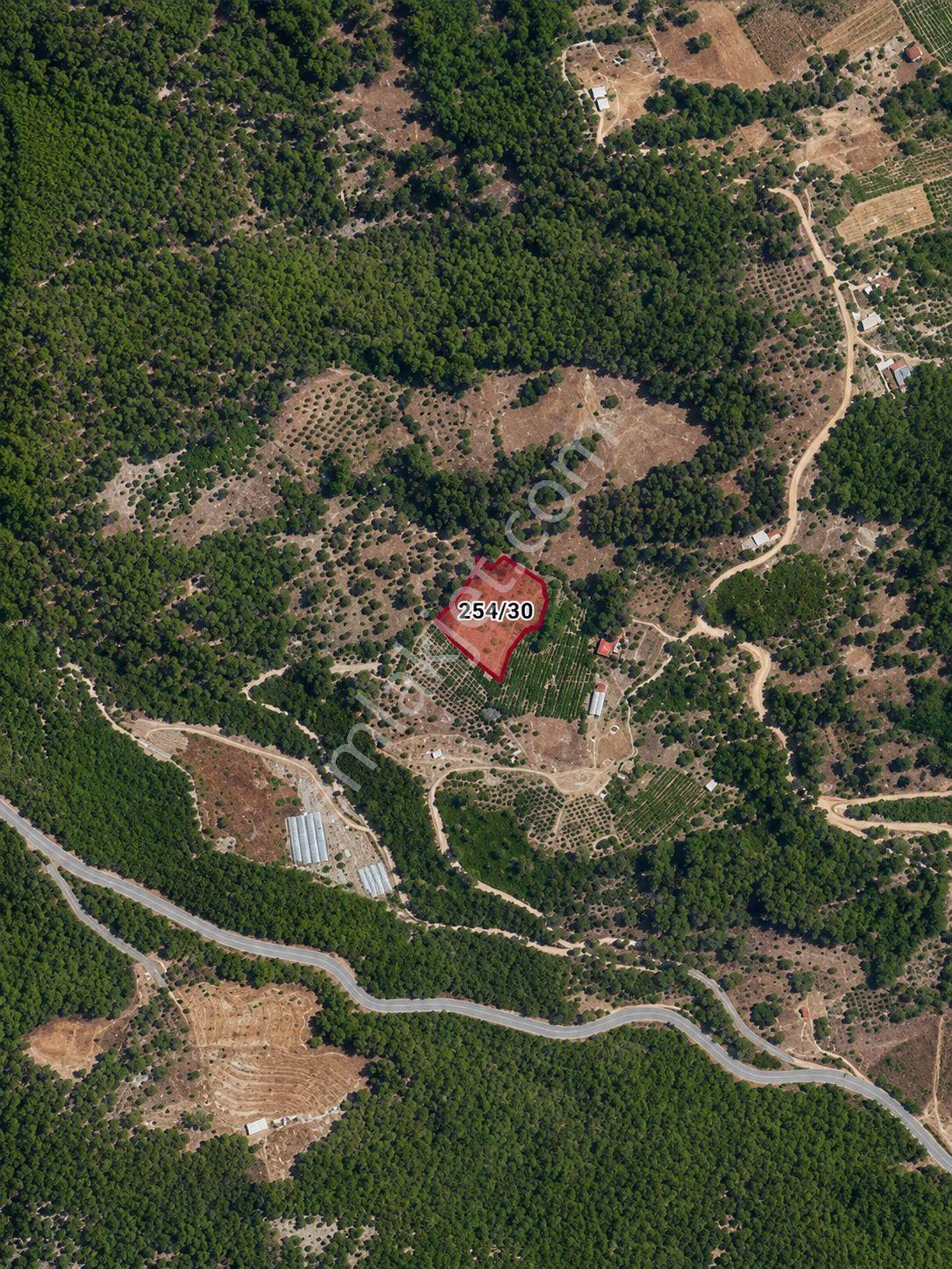Kaş Kemer Mahallesi'nde 4.392 M² Müstakil Tapulu Satılık Doğa Cenneti Tarla - Görsel 7
