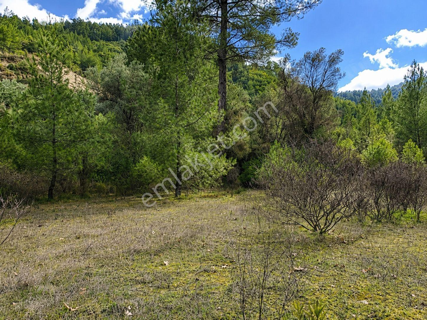 Kaş Kemer Mahallesi'nde 4.392 M² Müstakil Tapulu Satılık Doğa Cenneti Tarla - Görsel 2