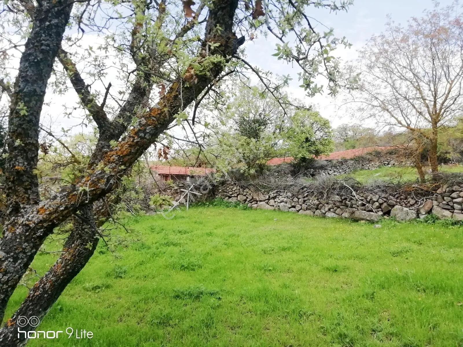 Bergama İsmaillide(denize 27km Uzaklıkta)köyiçi İmarlıarsa-330m