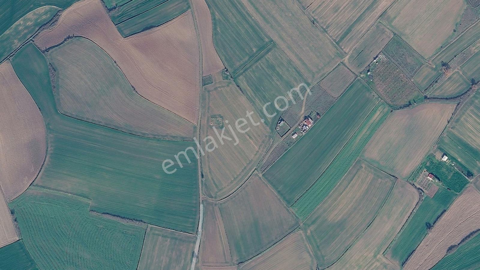 Expert'ten Tekirdağ Kapaklı Karlı'da 222 M² Satılık Tarla