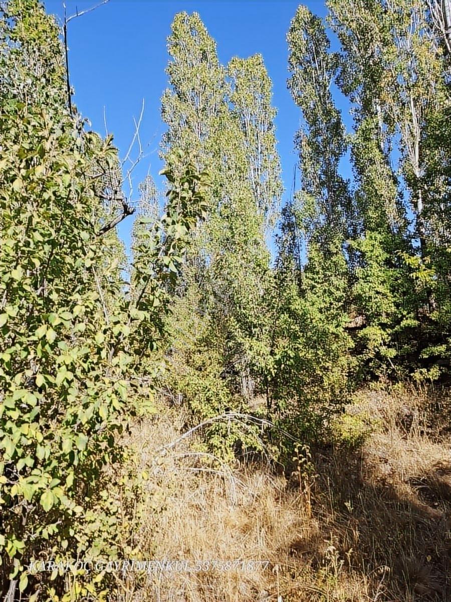 Acill Karakoç Gayrimenkul Satlık İnlicede 555m2 Bahçe Çeşme Yanı - Görsel 34