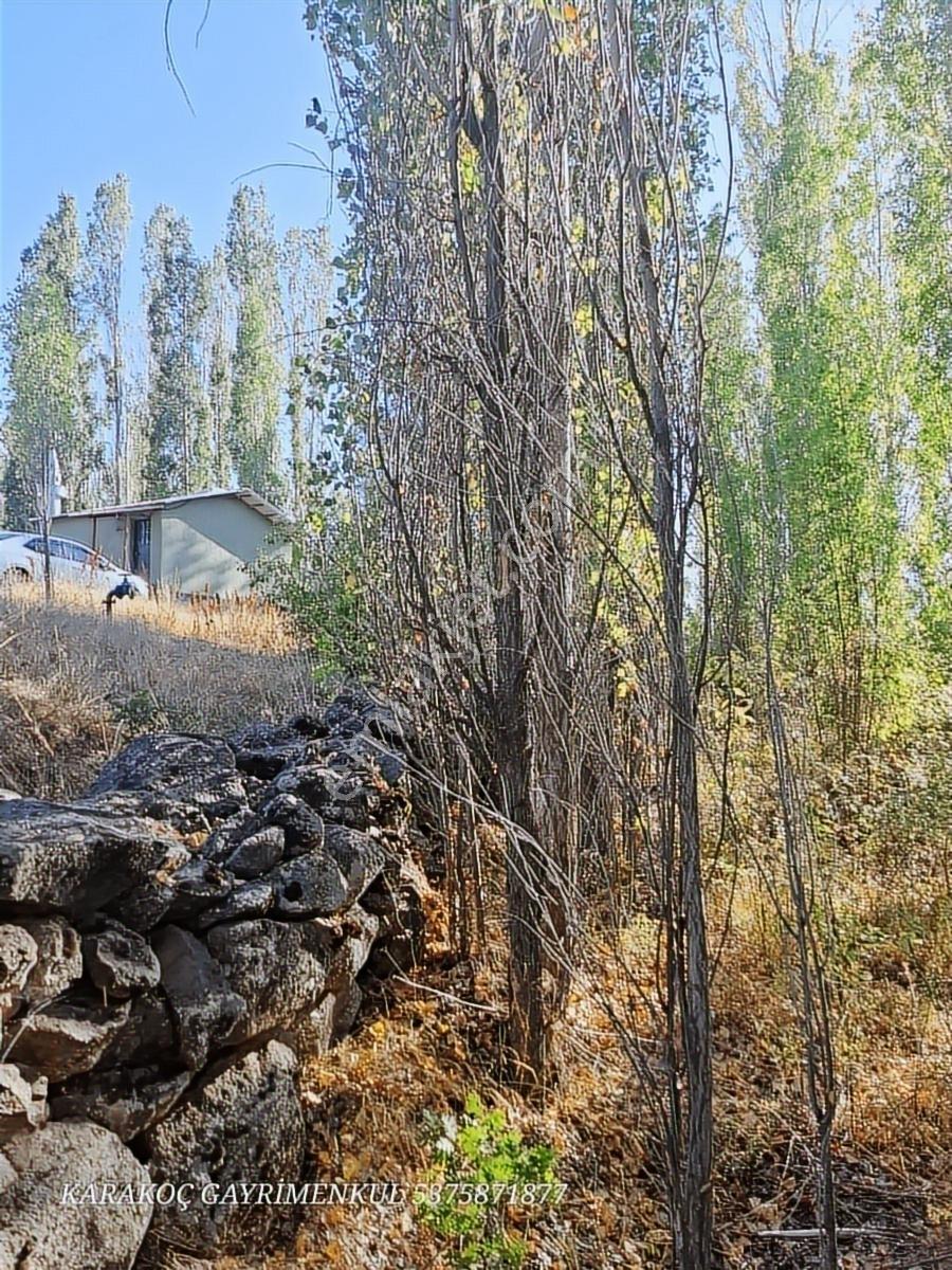 Acill Karakoç Gayrimenkul Satlık İnlicede 555m2 Bahçe Çeşme Yanı - Görsel 8