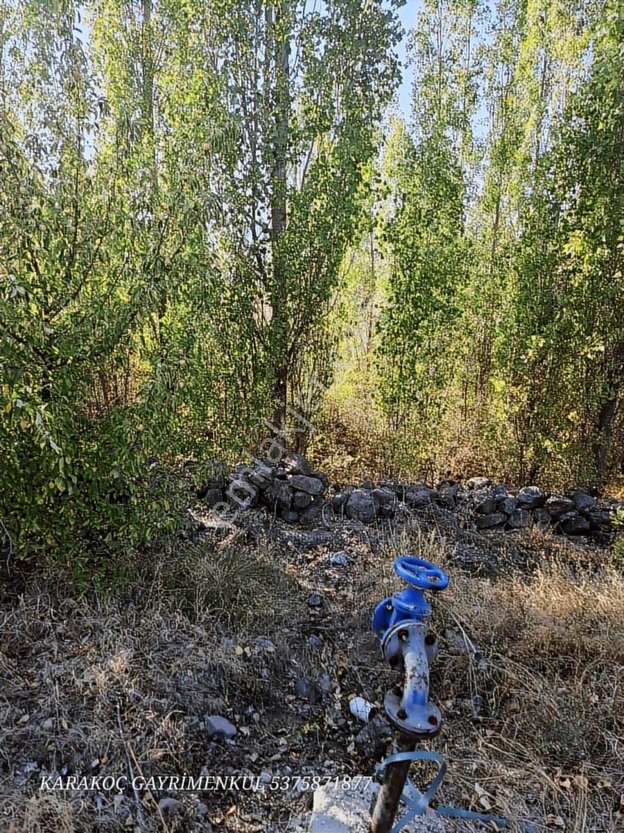 Acill Karakoç Gayrimenkul Satlık İnlicede 555m2 Bahçe Çeşme Yanı - Görsel 25