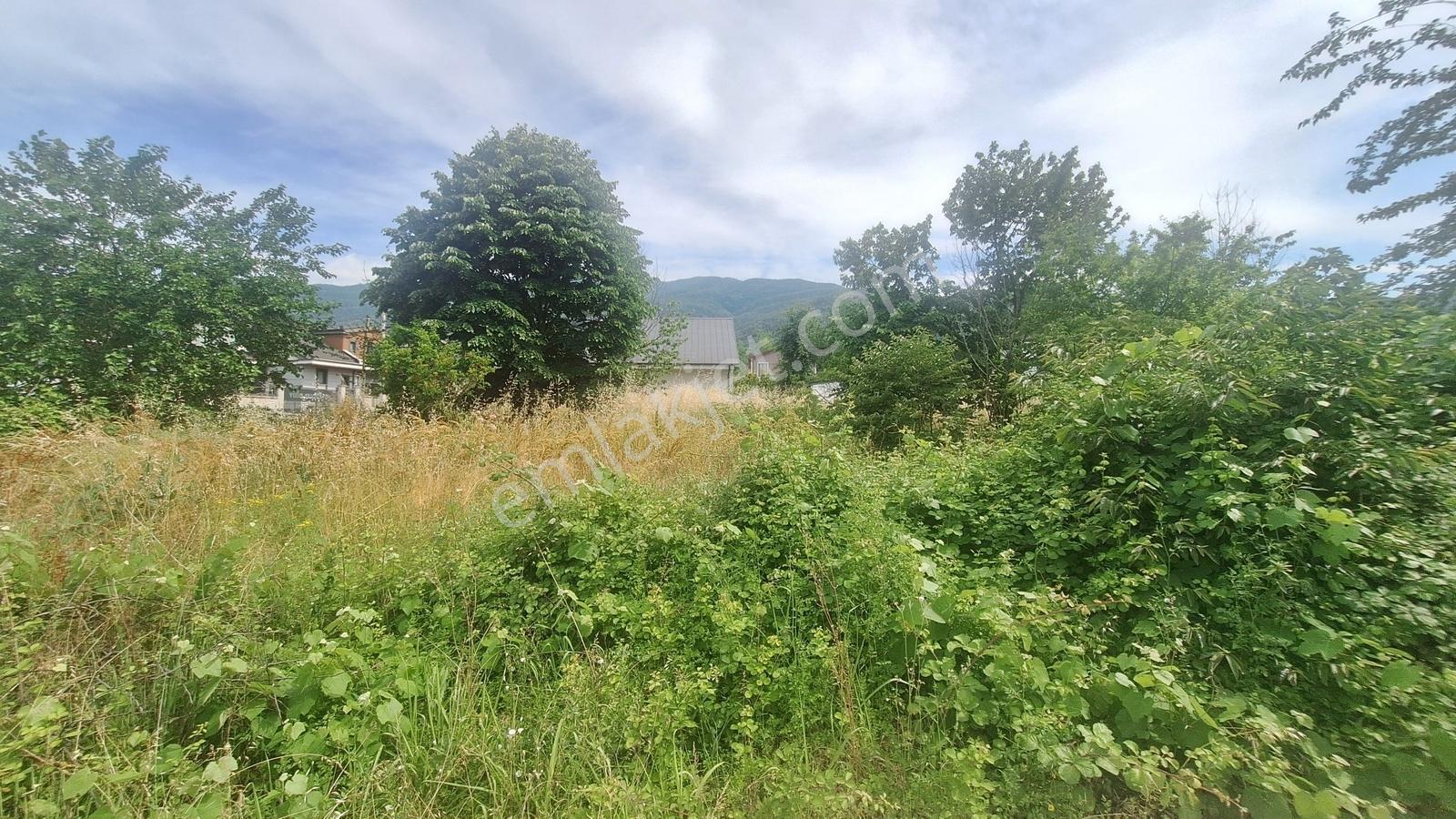 Kartepe Suadiye De 2755 M2 Satılık Konut İmarlı Arsa - Görsel 11