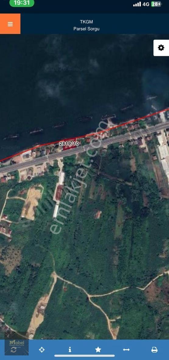 Fatsa Yenipazar Sahilde İçinde Prefabrik Ev Olan Satılık Arsa - Görsel 21