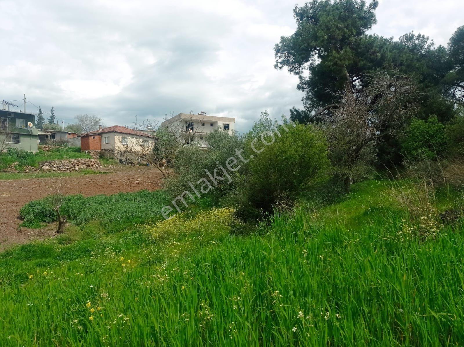 Akhisar Yenidoğan Da Satılık Kupon Arsa - Görsel 8