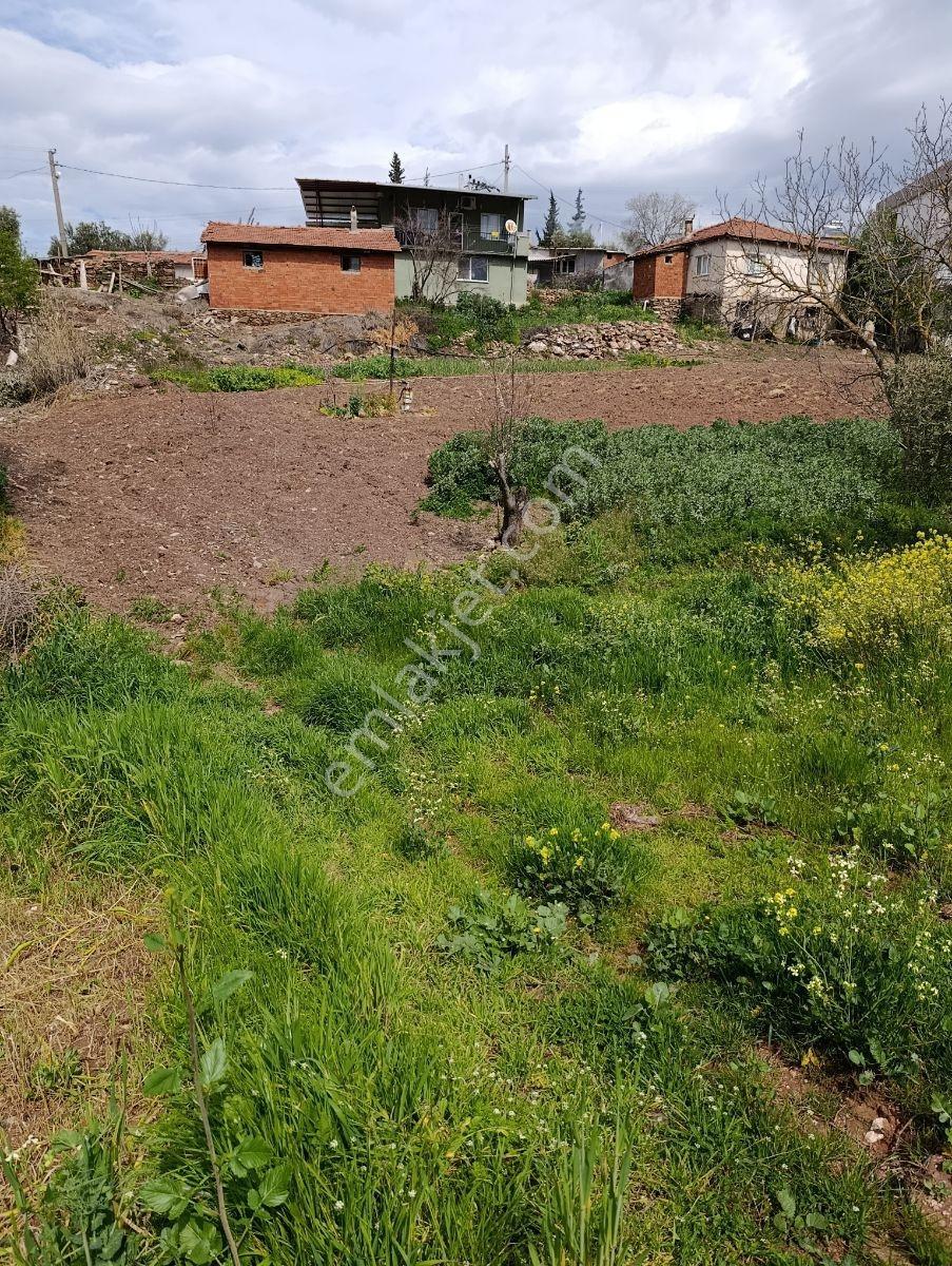 Akhisar Yenidoğan Da Satılık Kupon Arsa