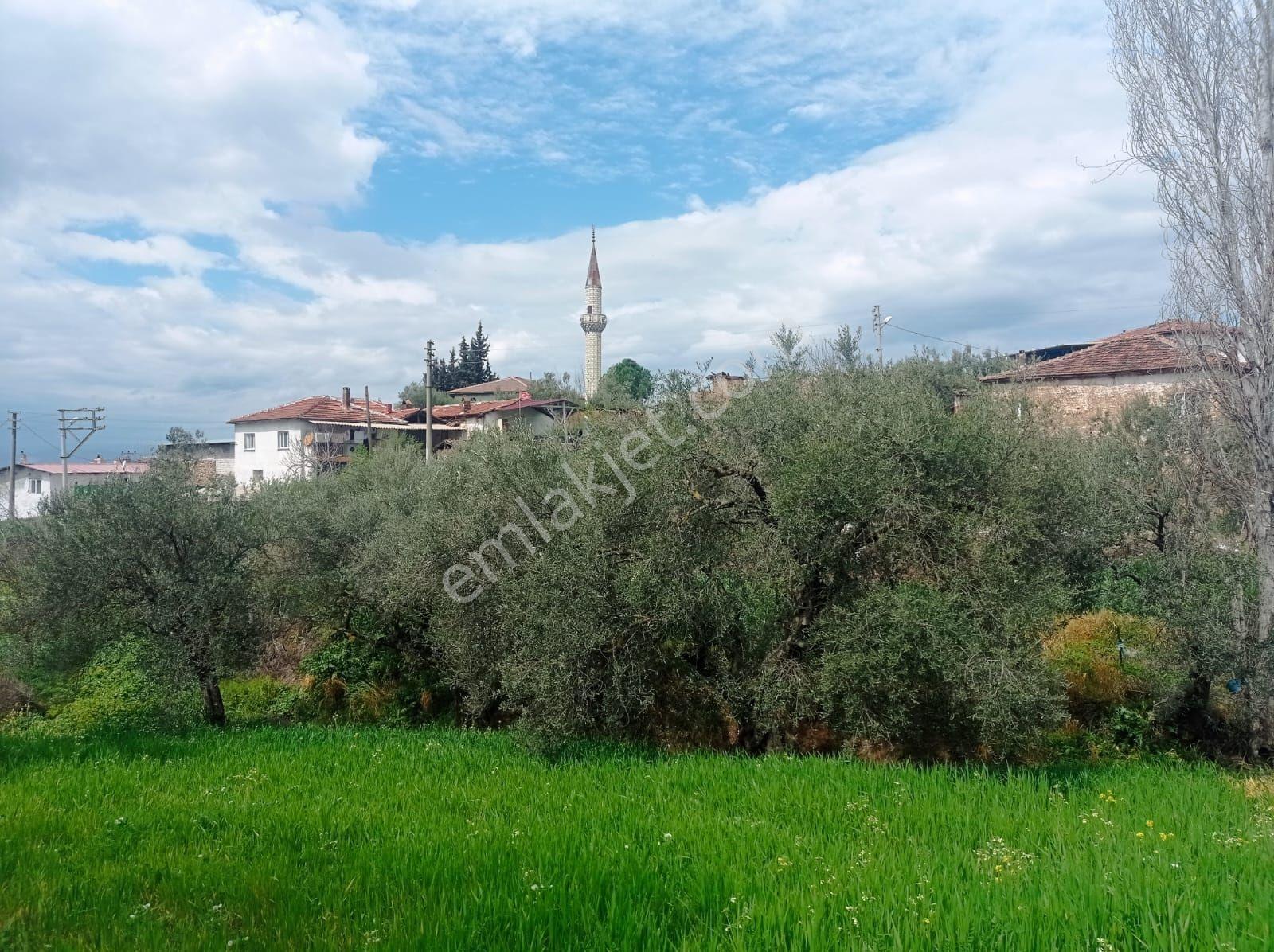Akhisar Yenidoğan Da Satılık Kupon Arsa - Görsel 9
