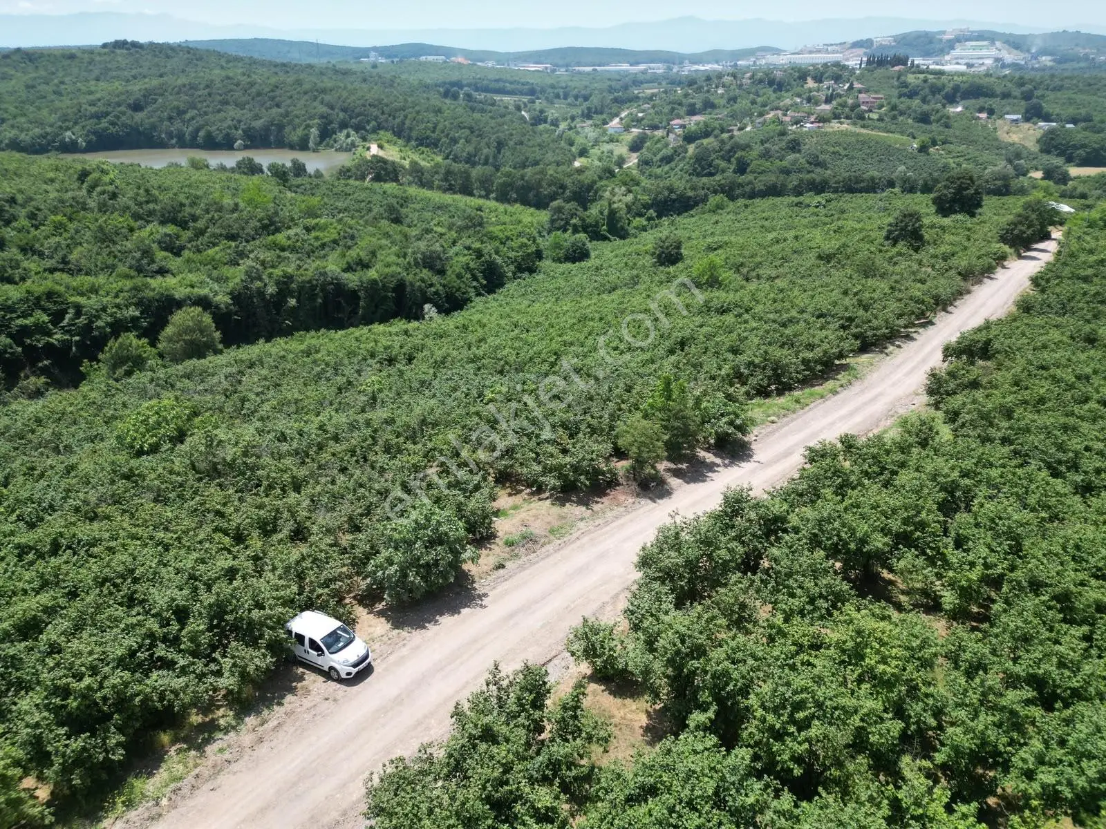 Hasanfakıda Yol Cepheli Verimli , Baraja Yakın Fındık Bahçesi